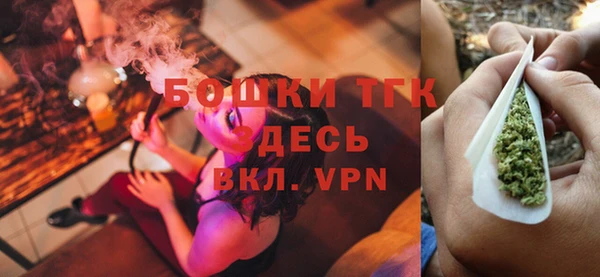 стафф Бородино