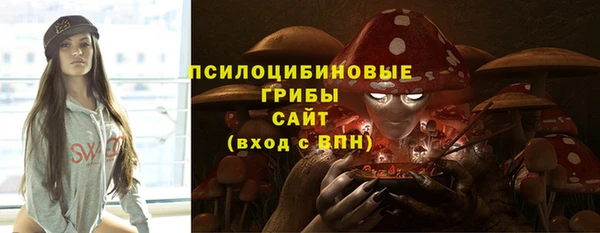 твердый Бронницы