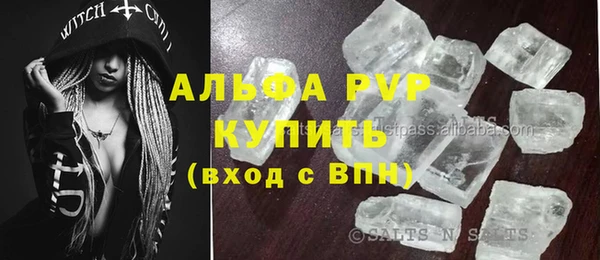 стафф Бородино