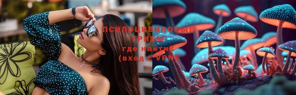 твердый Бронницы