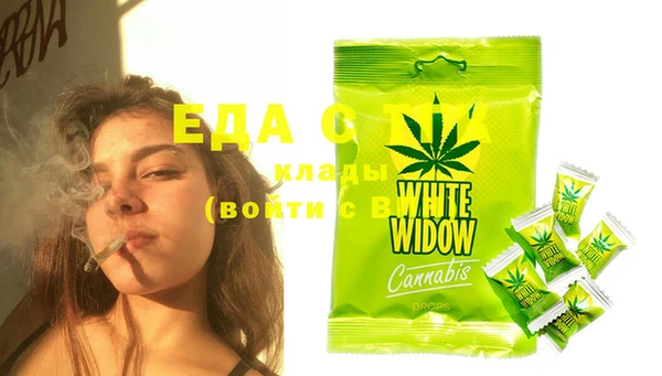 стафф Бородино