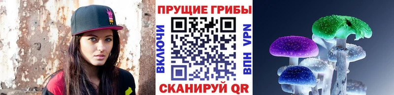 Галлюциногенные грибы мицелий  Северск 